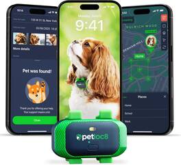 PetLoc8 - GPS Tracker for Pets – Real-Time Location Tracking, Waterproof, Long Battery Life, iOS & Android Compatible - Blue / Green