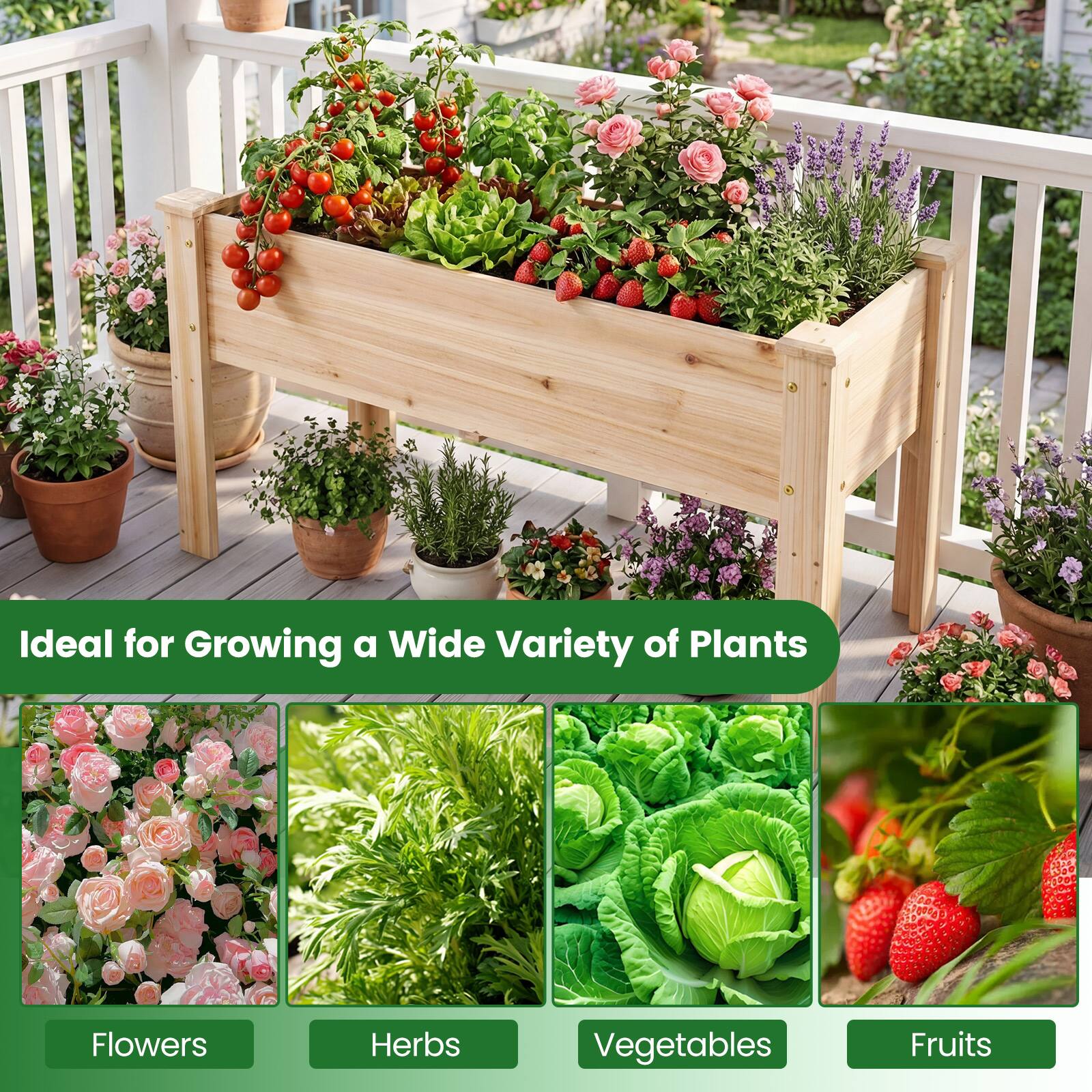 Ideal for Growing a Wide Variety of Plants

- Flowers
- Herbs
- Vegetables
- Fruits