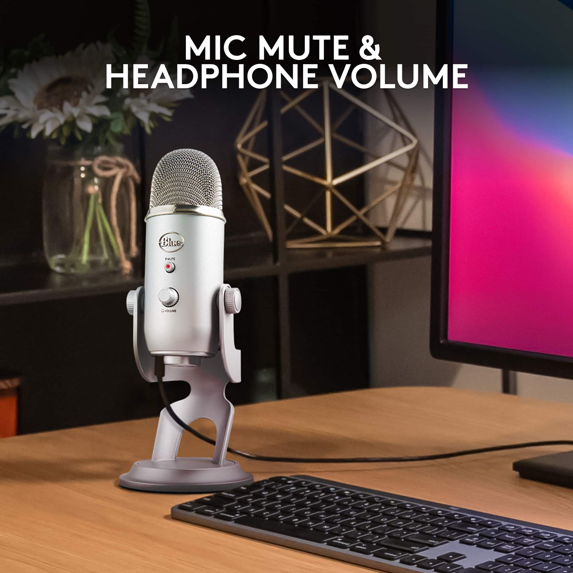 MIC MUTE & HEADPHONE VOLUME