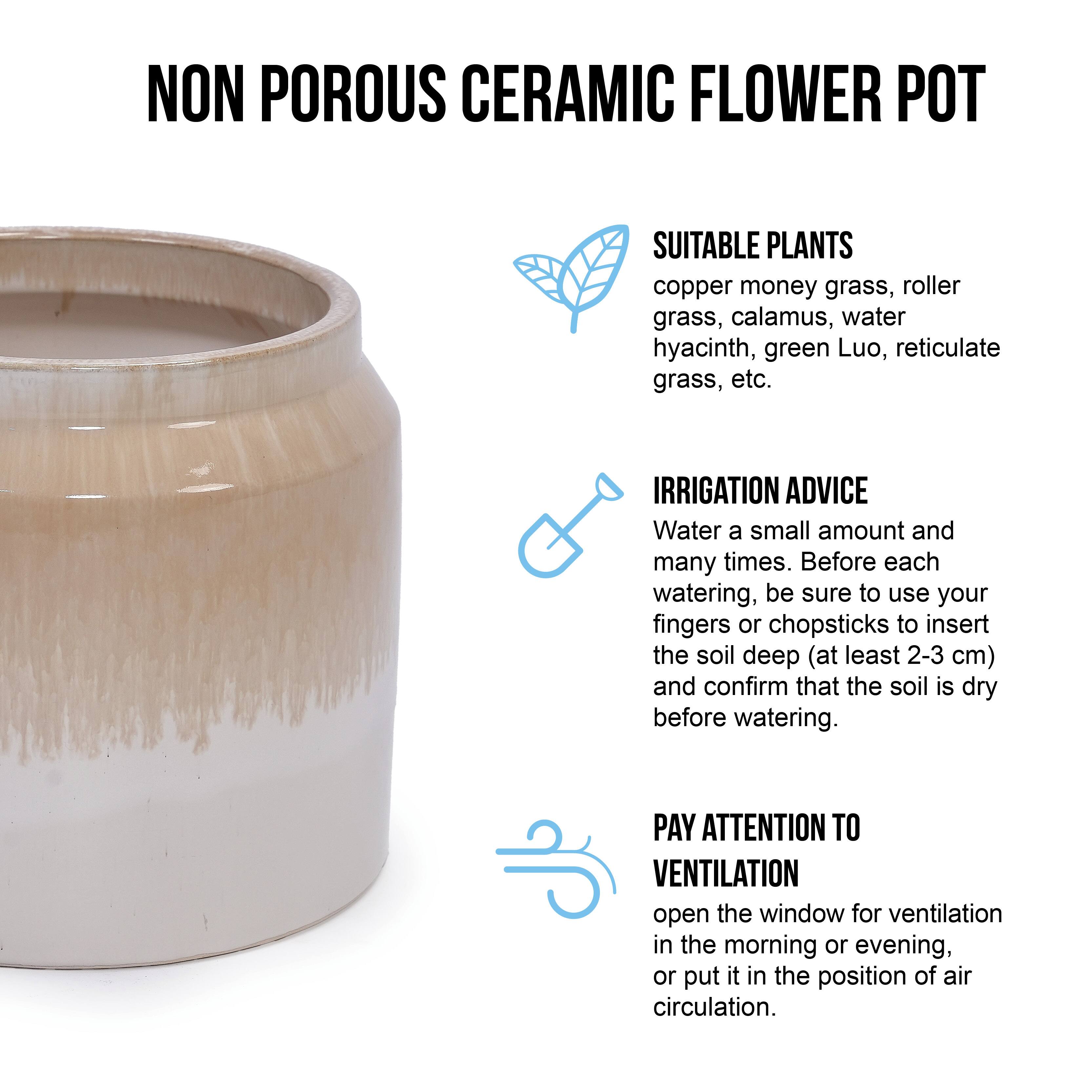 NON POROUS CERAMIC FLOWER POT

SUITABLE PLANTS
copper money grass, roller grass, calamus, water hyacinth, green Luo, reticulate grass, etc.

IRRIGATION ADVICE
Water a small amount and many times. Before each watering, be sure to use your fingers or chopsticks to insert the soil deep (at least 2-3 cm) and confirm that the soil is dry before watering.

PAY ATTENTION TO VENTILATION
open the window for ventilation in the morning or evening, or put it in the position of air circulation.