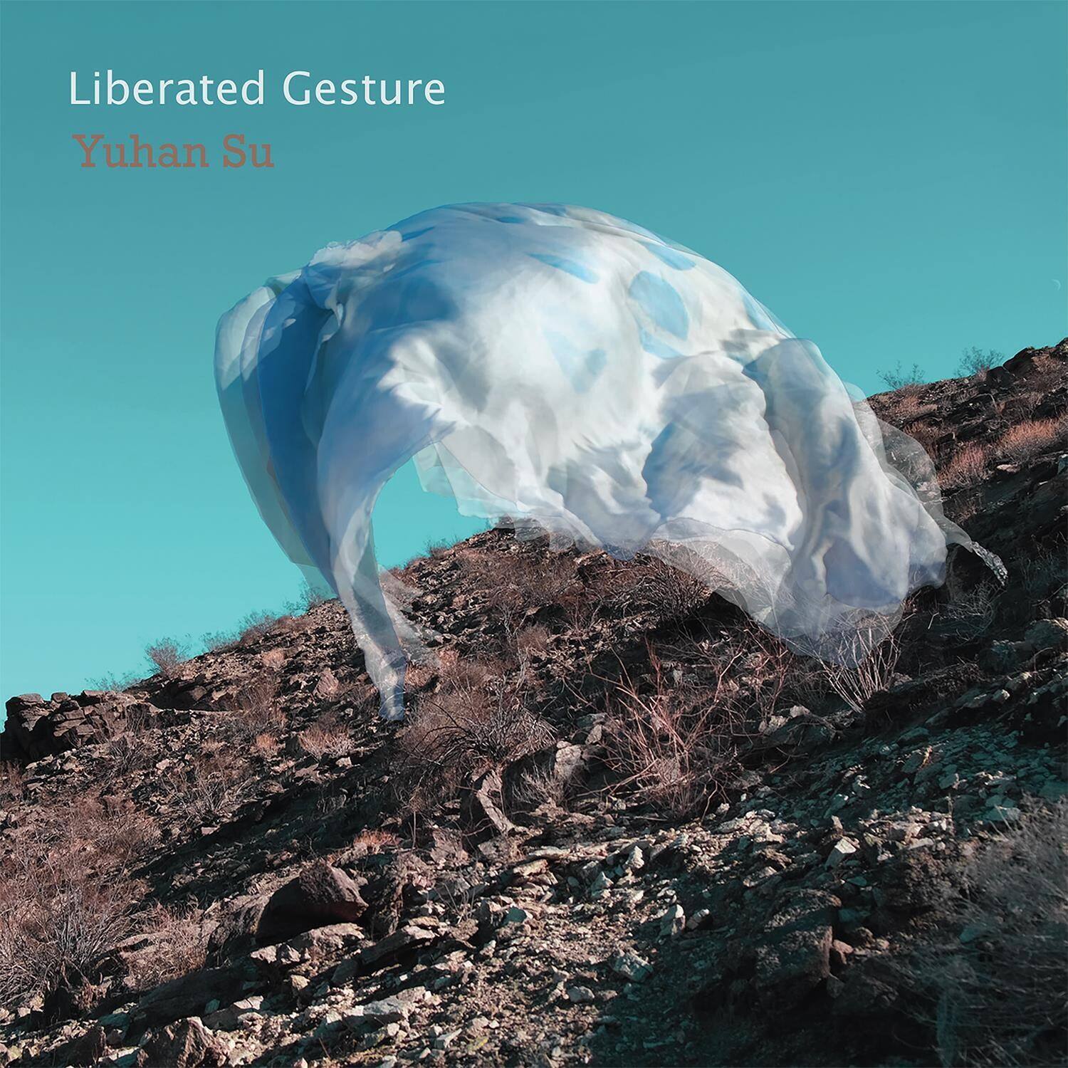 Liberated Gesture  
Yuhan Su