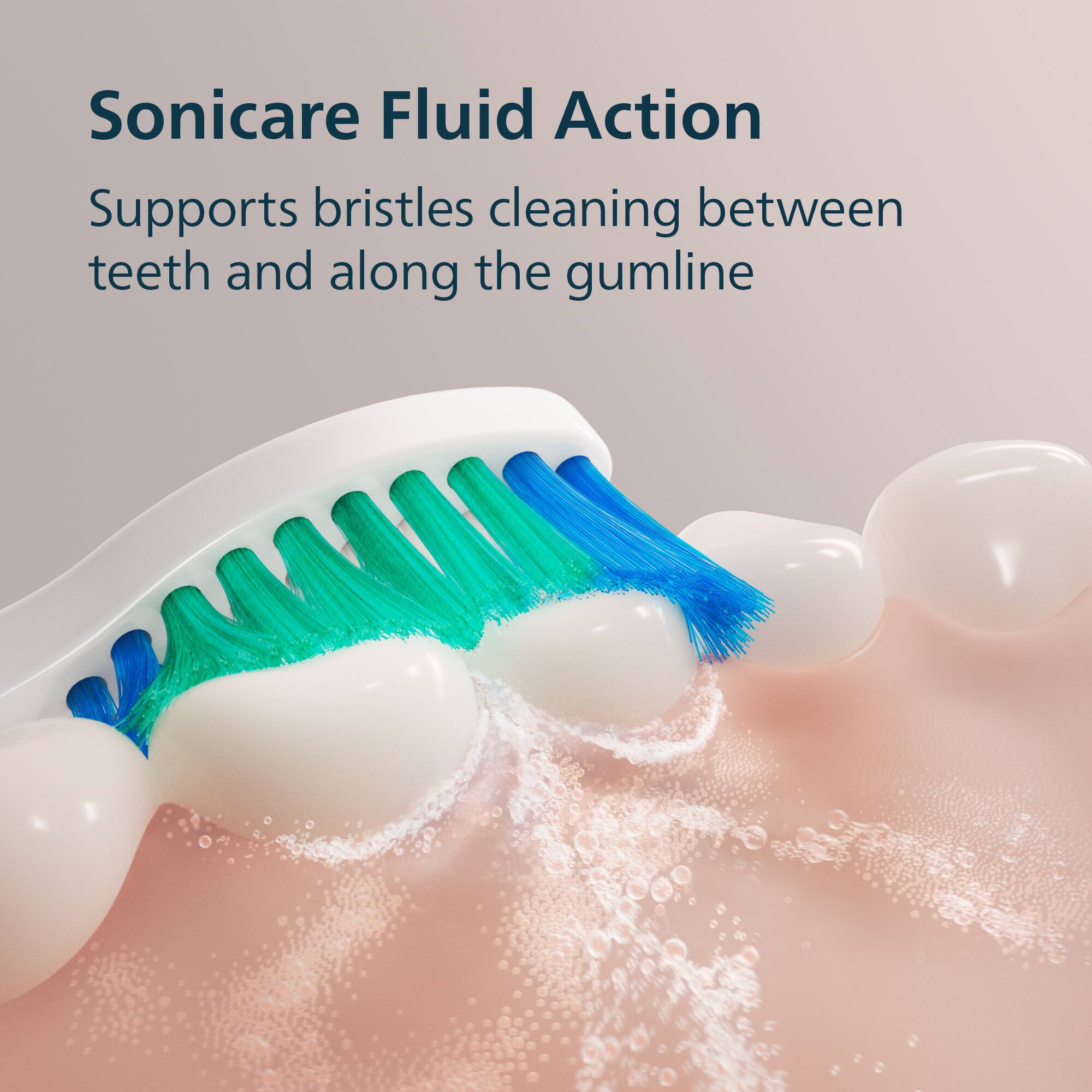 Sonicare Fluid Action  
Supports bristles cleaning between teeth and along the gumline