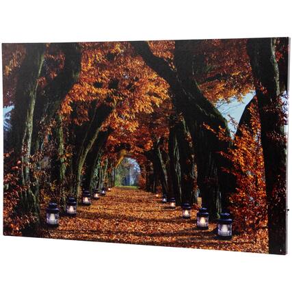 Front. Northlight - LED Lighted Autumn Trees Archway Fall Harvest Canvas Wall Art - 23.5" x 15.5" - Orange.