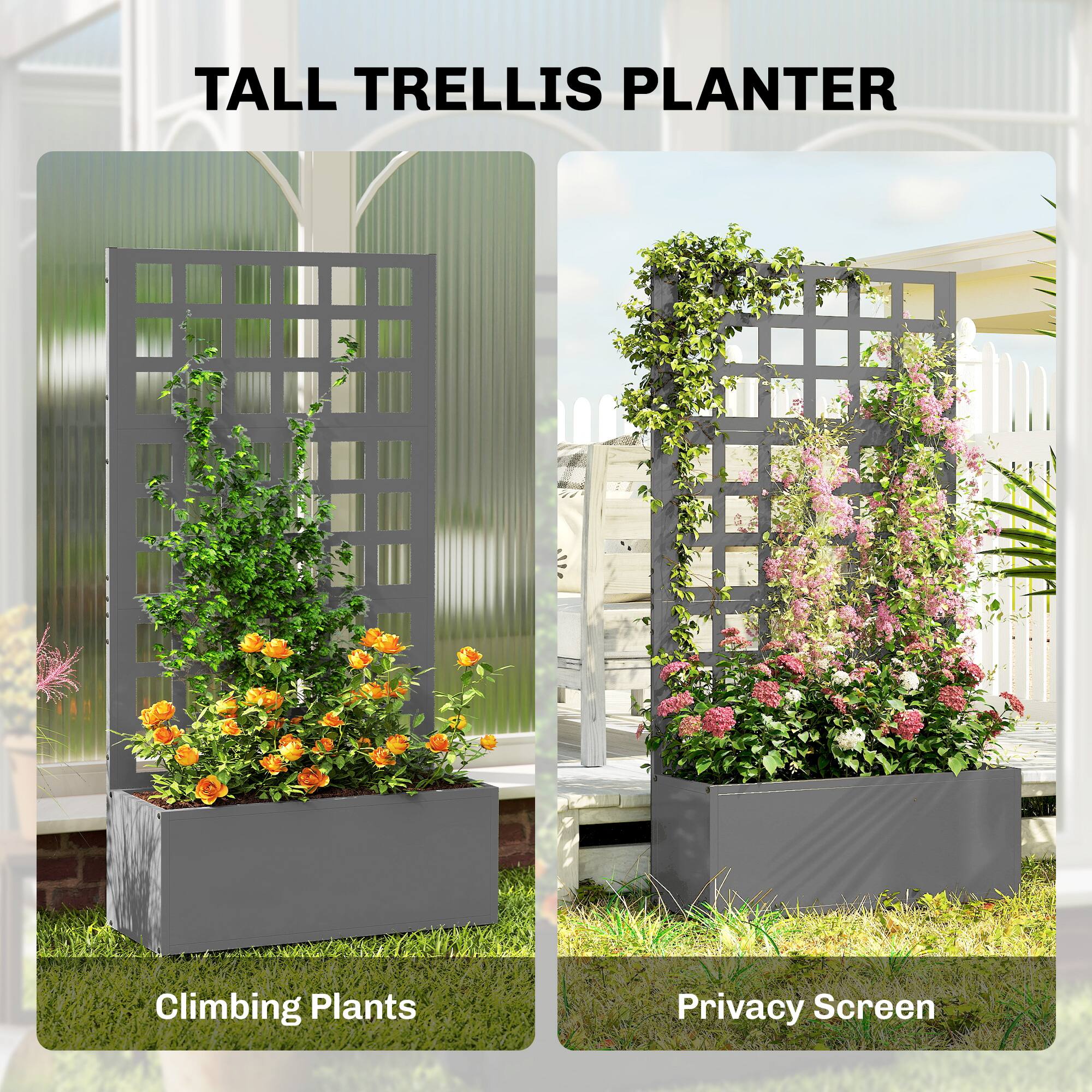 TALL TRELLIS PLANTER  
Climbing Plants  
Privacy Screen