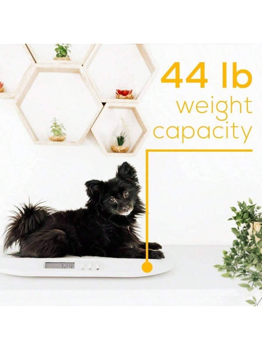 44 lb weight capacity
