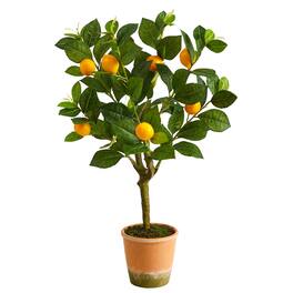 BreeBe - 24” Lemon Tree Potted - Yellow, Green