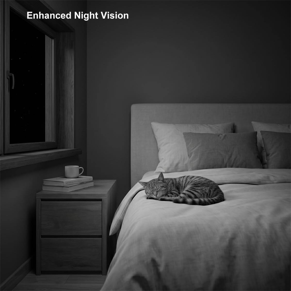 Enhanced Night Vision