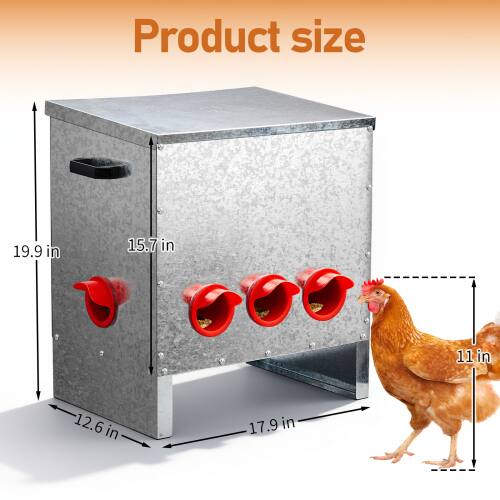 Product size: 19.9 in x 15.7 in x 12.6 in x 17.9 in x 11 in