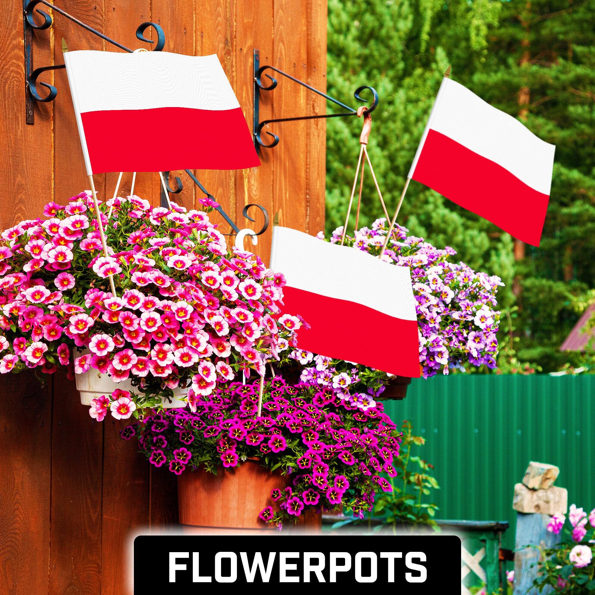 Angle. G128 - 12-Pack Handheld Poland Flags, 12 x 18 in, 150D Polyester with Wooden Stick and Gold Spear Tip. - Assorted Colors.