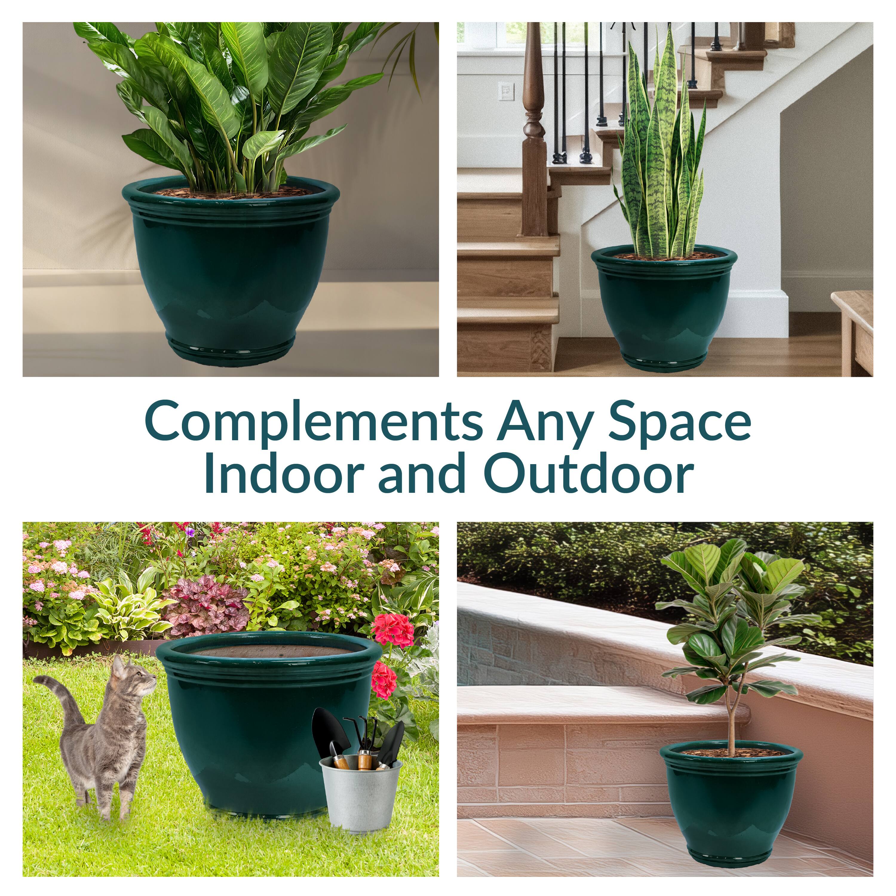 Complements Any Space  
Indoor and Outdoor