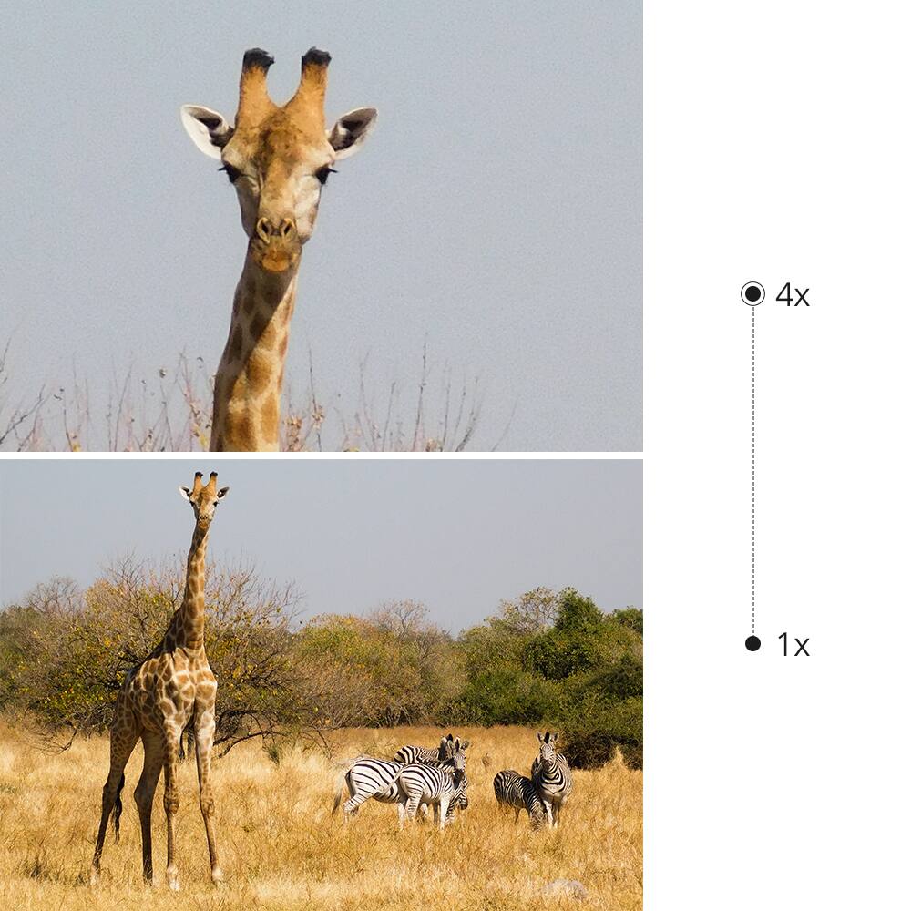 Alt View 19. DJI - Mini 3 Pro Drone and Remote Control with Built-in Screen (DJI RC) - Gray.