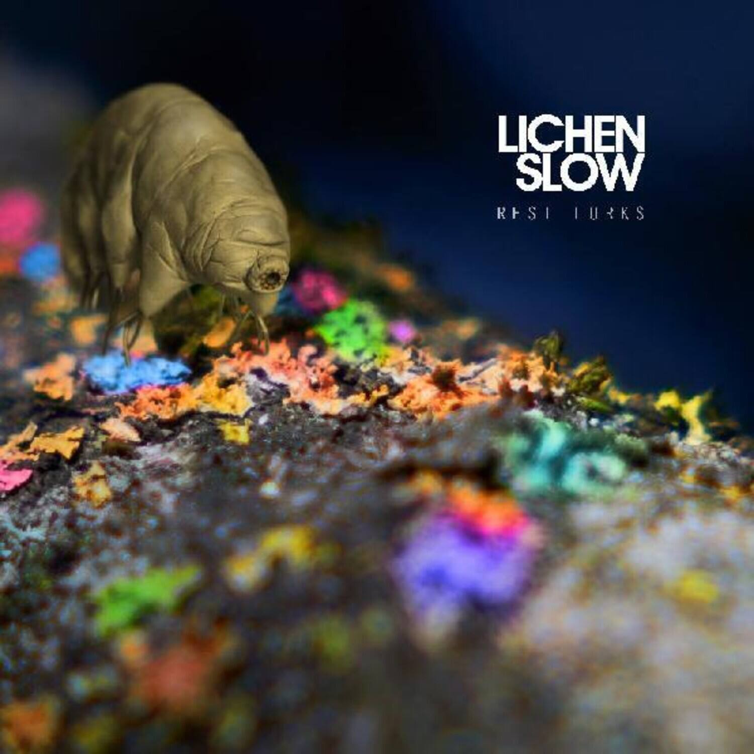 Lichen Slow - Rest Lurks - VINYL LP