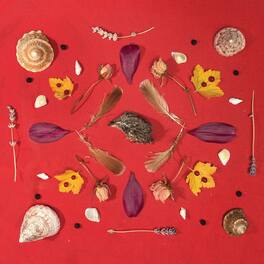 Secret Family - Grouse Head Talisman - VINYL LP