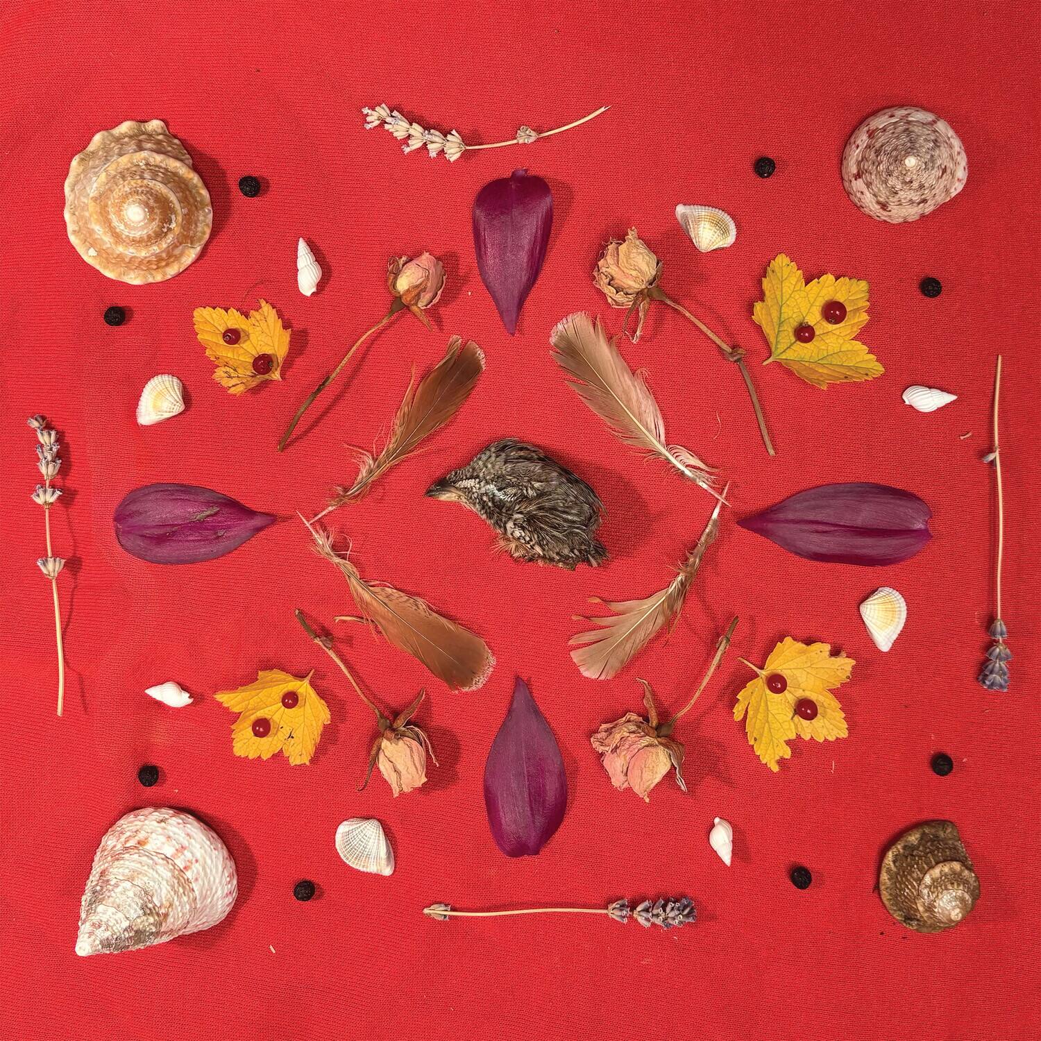 Secret Family - Grouse Head Talisman   - VINYL LP