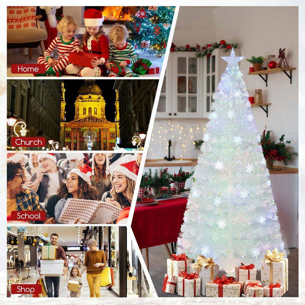 - Home
- Church
- School
- Shop