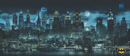 Trend Setters - FilmPix™ Light Display + Batman (Gotham City Skyline) FilmPix™ Photo Insert Bundle - Multicolor