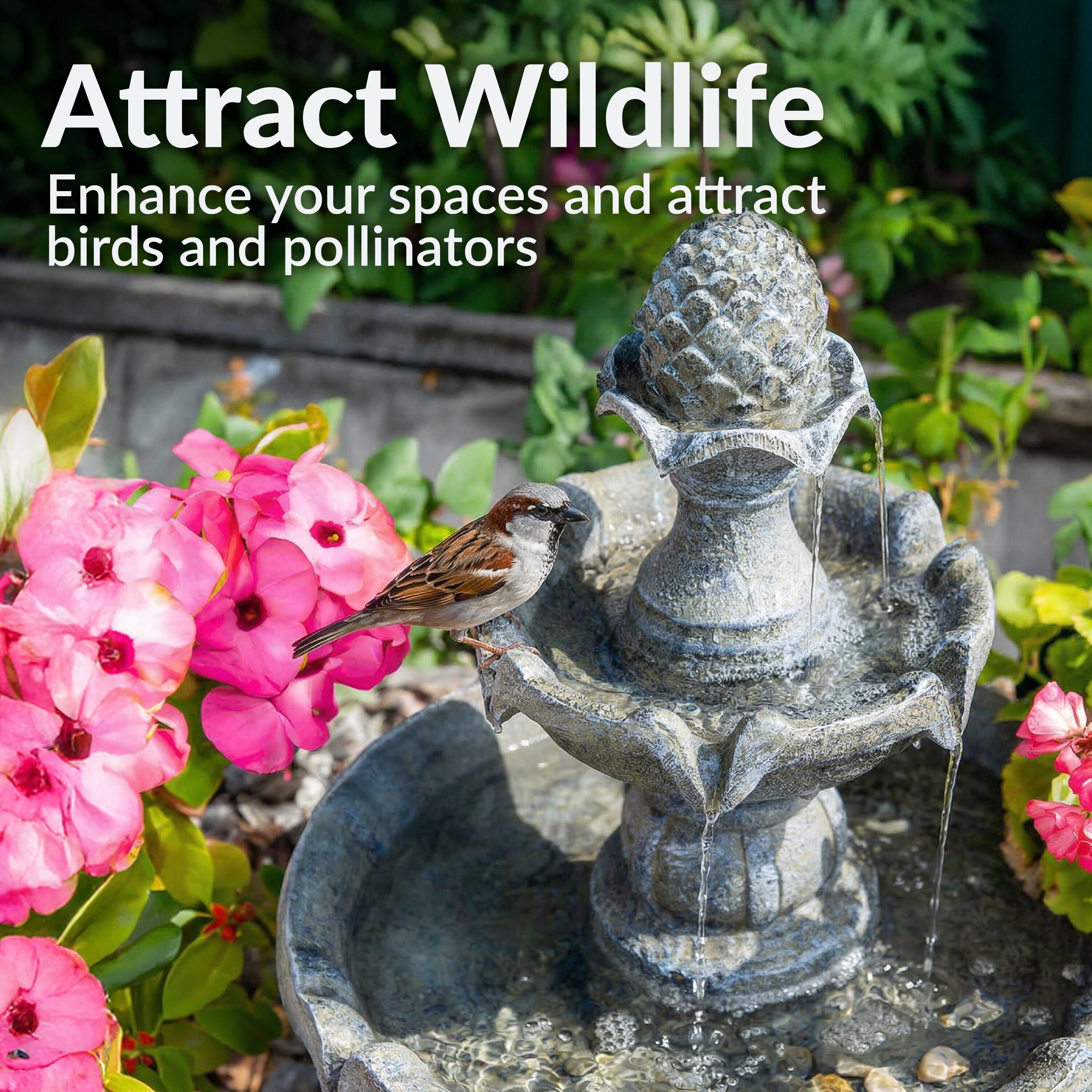 Attract Wildlife  
Enhance your spaces and attract birds and pollinators