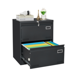 Dexmalle - Dexmalle-2 Drawer Metal Lateral File Cabinet with Lock-Black
