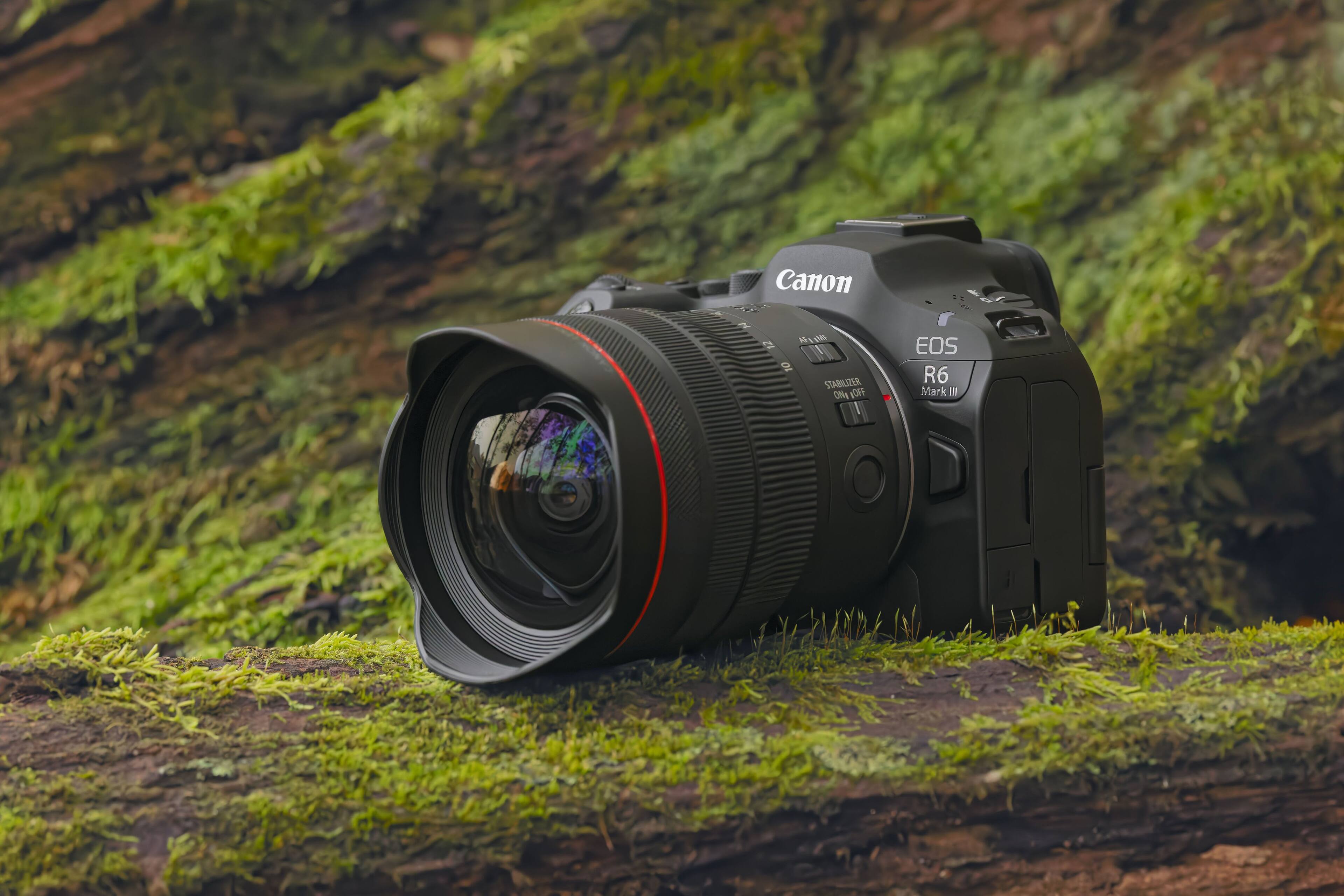 Canon EOS R6 Mark III  
STABILIZER ON