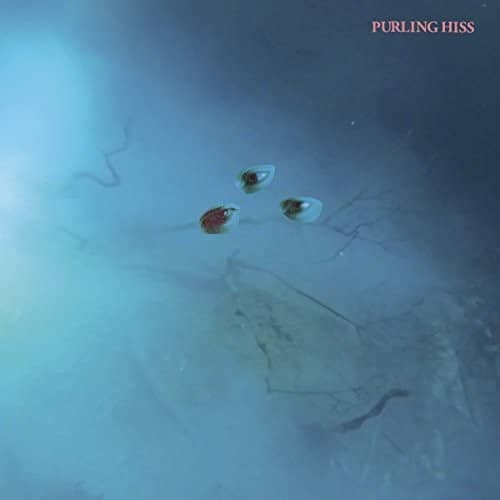 Purling Hiss - High Bias   - COMPACT DISCS [CD] price history on PriceWatchPro