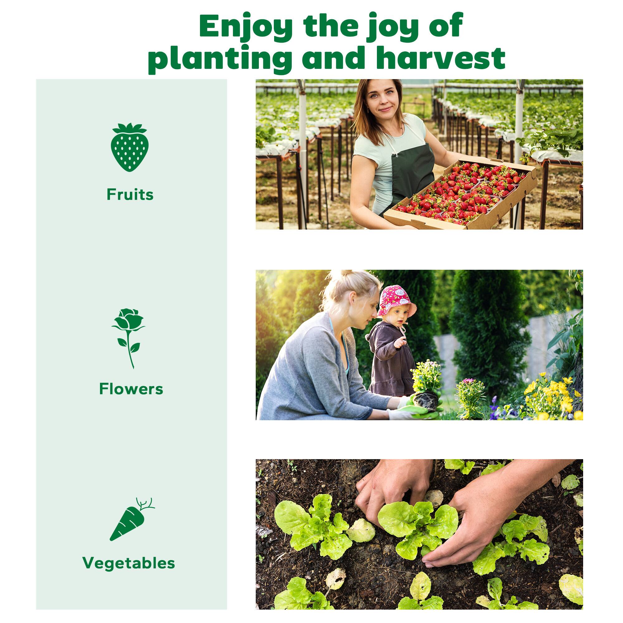 Enjoy the joy of planting and harvest

Fruits
Flowers
Vegetables