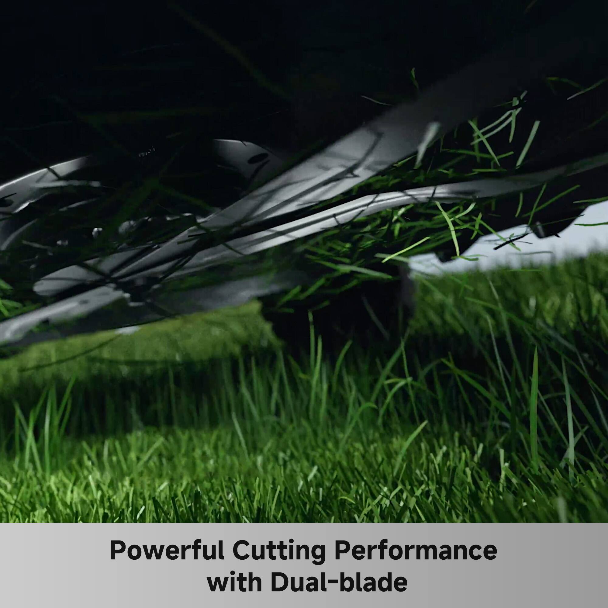 Powerful Cutting Performance with Dual-blade