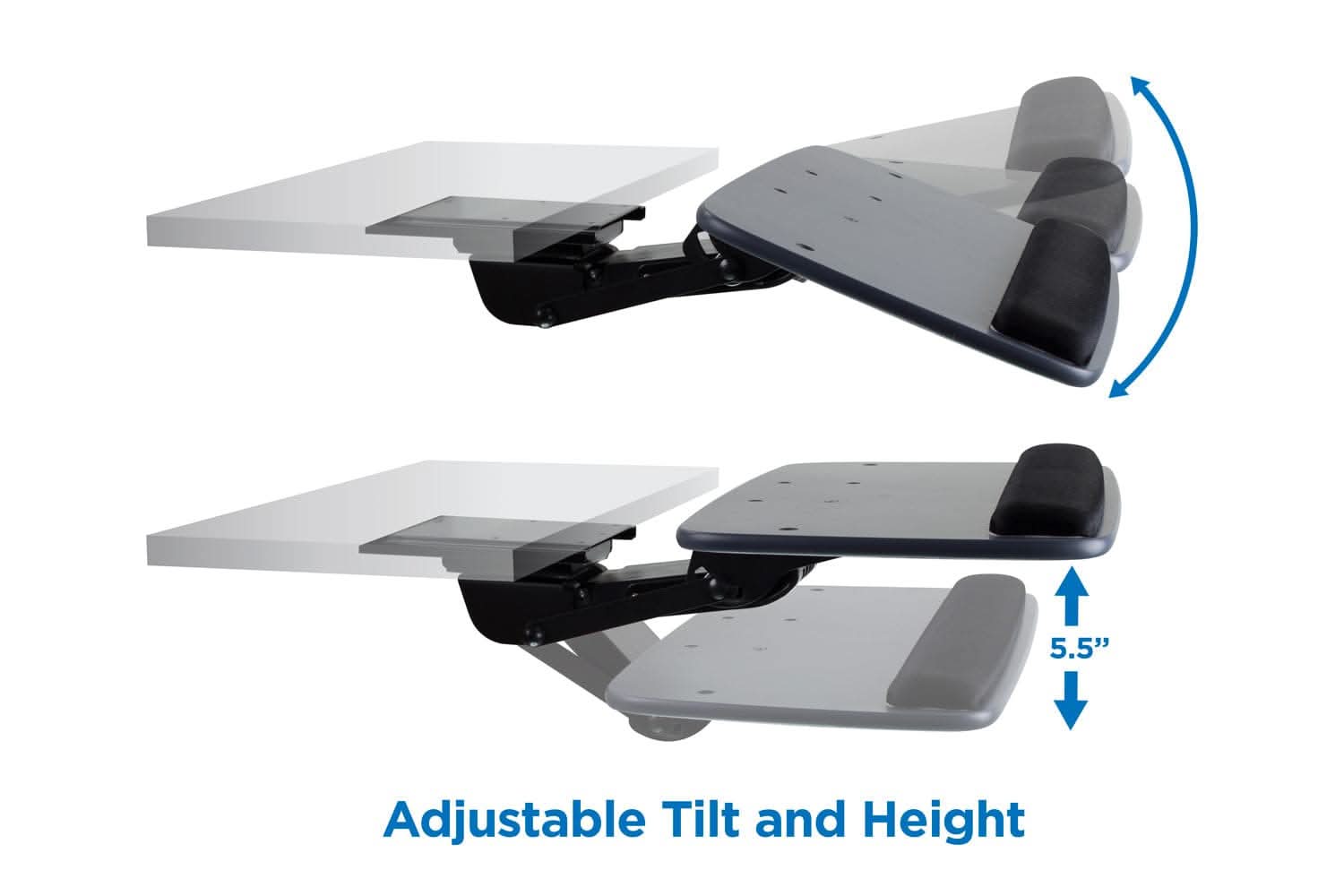 5.5" Adjustable Tilt and Height