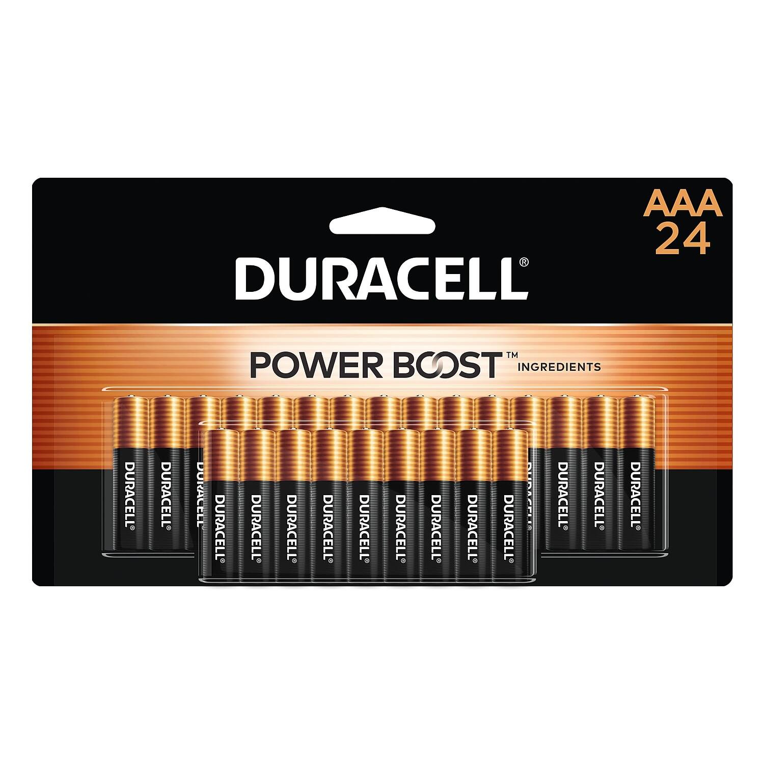 DURACELL AAA 24
POWER BOOST™ INGREDIENTS