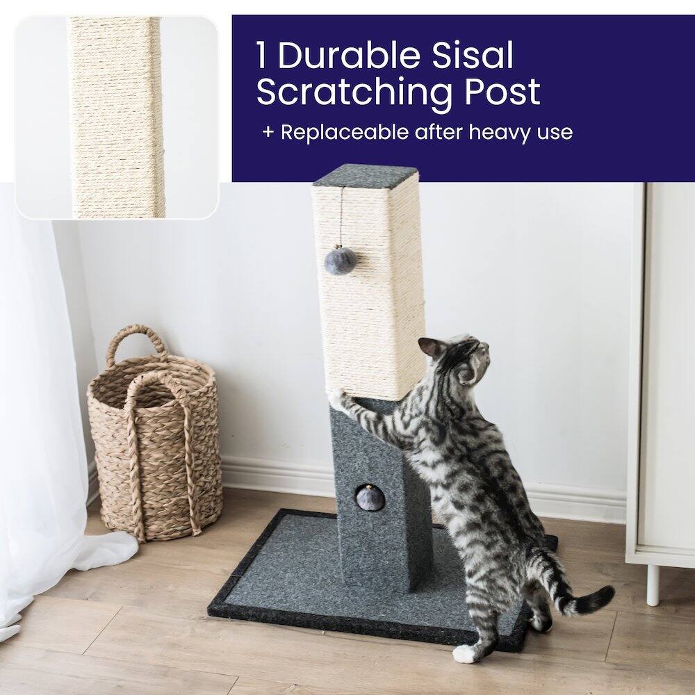 1 Durable Sisal Scratching Post  
+ Replaceable after heavy use