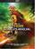 Front. Thor: Ragnarok - DVD.