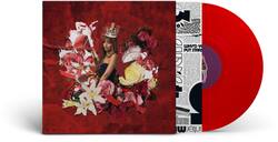 Pinkpantheress - Fancy That - VINYL LP - Front_Zoom