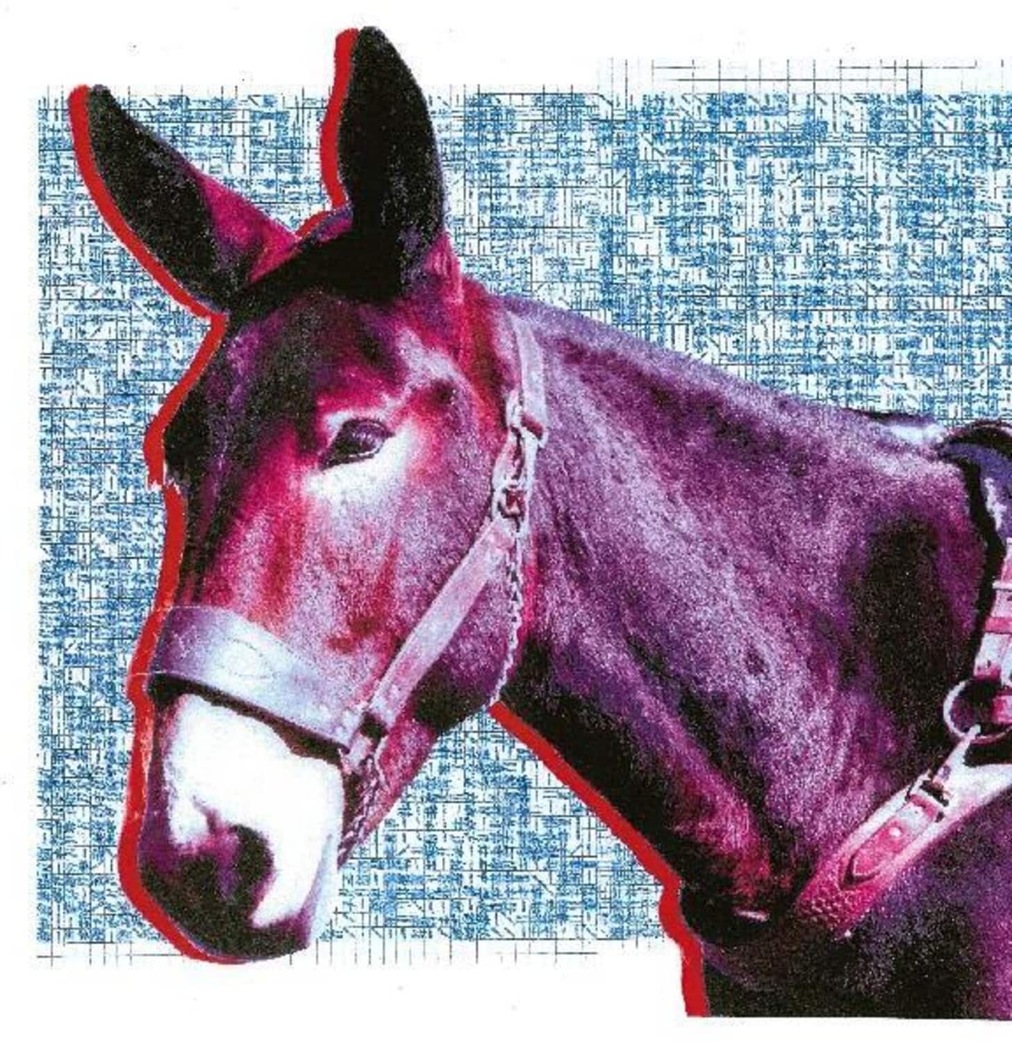 Protomartyr - Ultimate Success Today   - COMPACT DISCS [CD] price history on PriceWatchPro