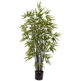 BreeBe - 4' Black Bamboo Tree x 10 w/588 Lvs - Green