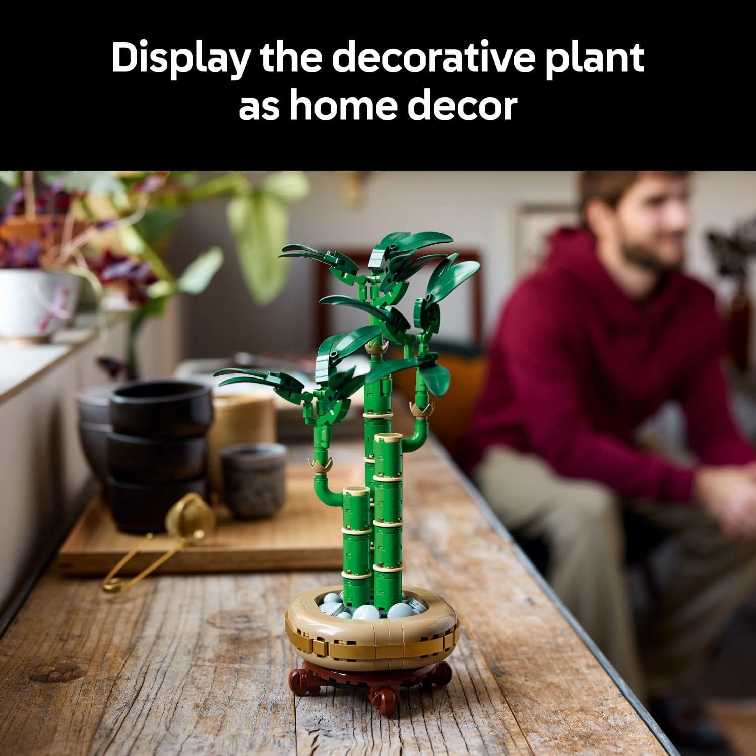 Display the decorative plant as home decor.