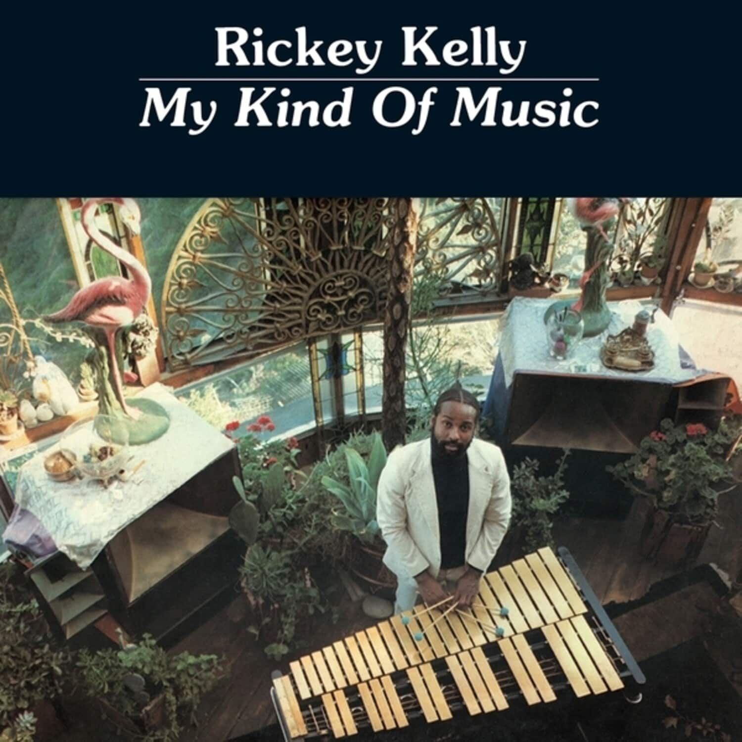 Rickey Kelly - My Kind Of Music   - VINYL LP price history on PriceWatchPro