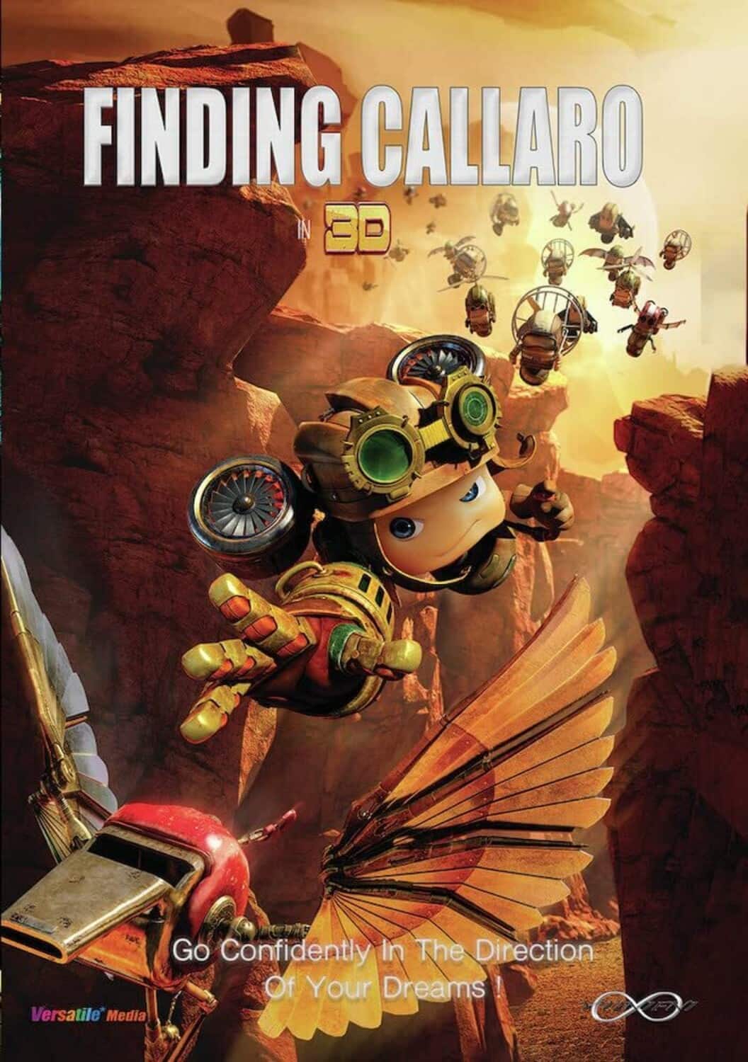 Finding Callaro  - DVD