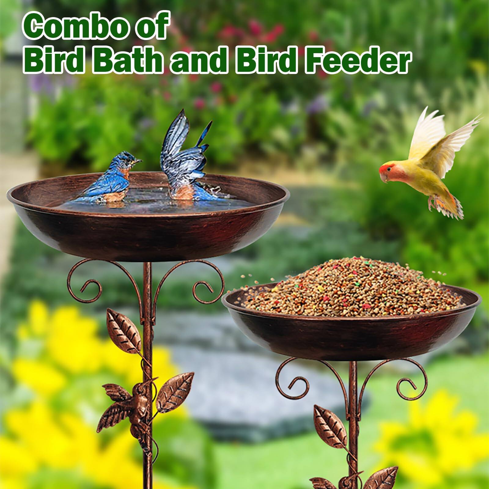 Combo of Bird Bath and Bird Feeder