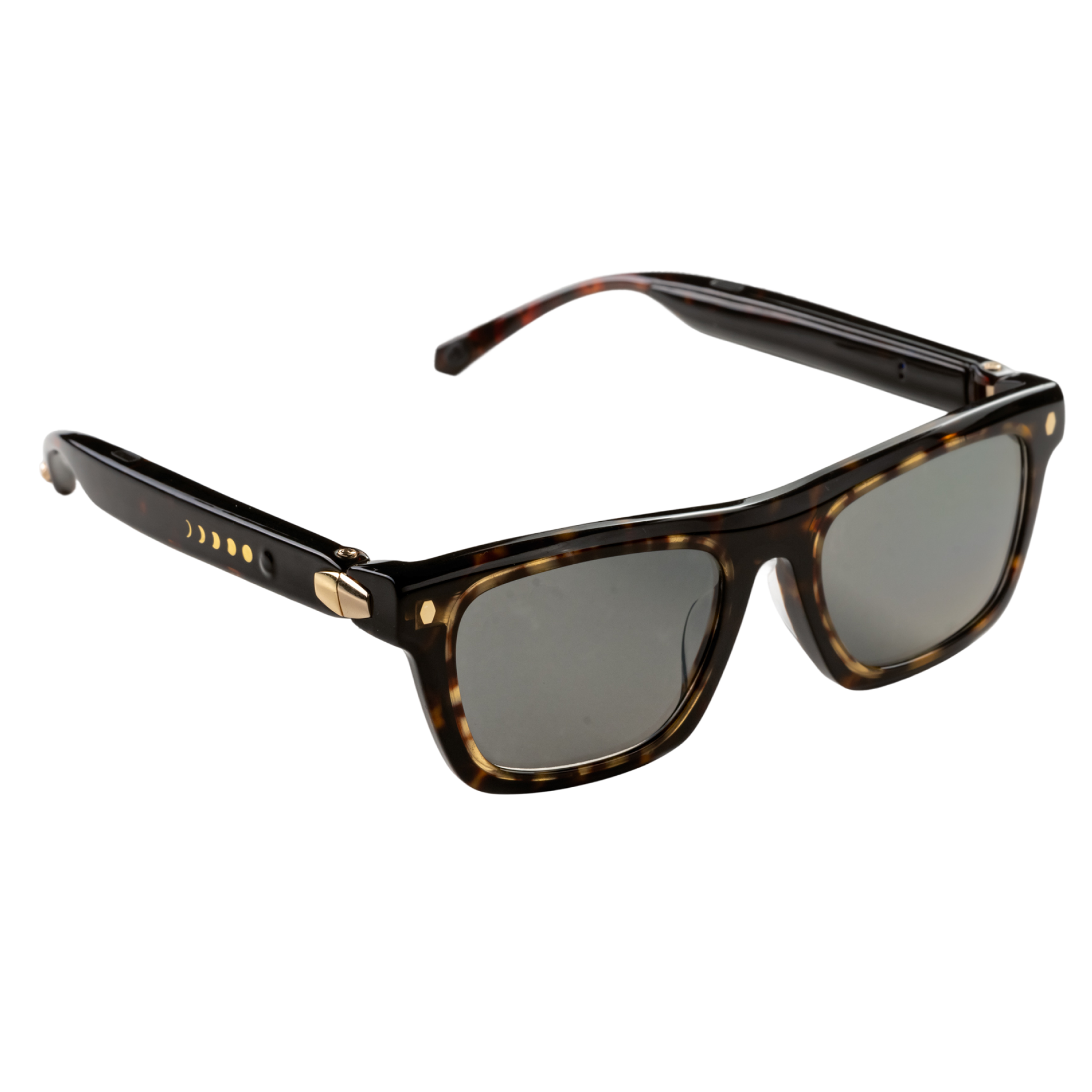 Left. Chamelo - Lion City Audio Sunglasses with Instant Adjustable Tint - Tortoise.