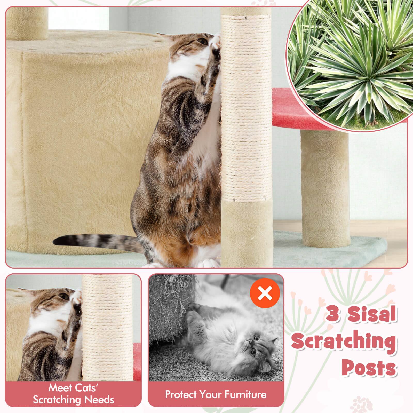 Meet Cats' Scratching Needs  
X 3 Sisal Scratching Posts  
Protect Your Furniture