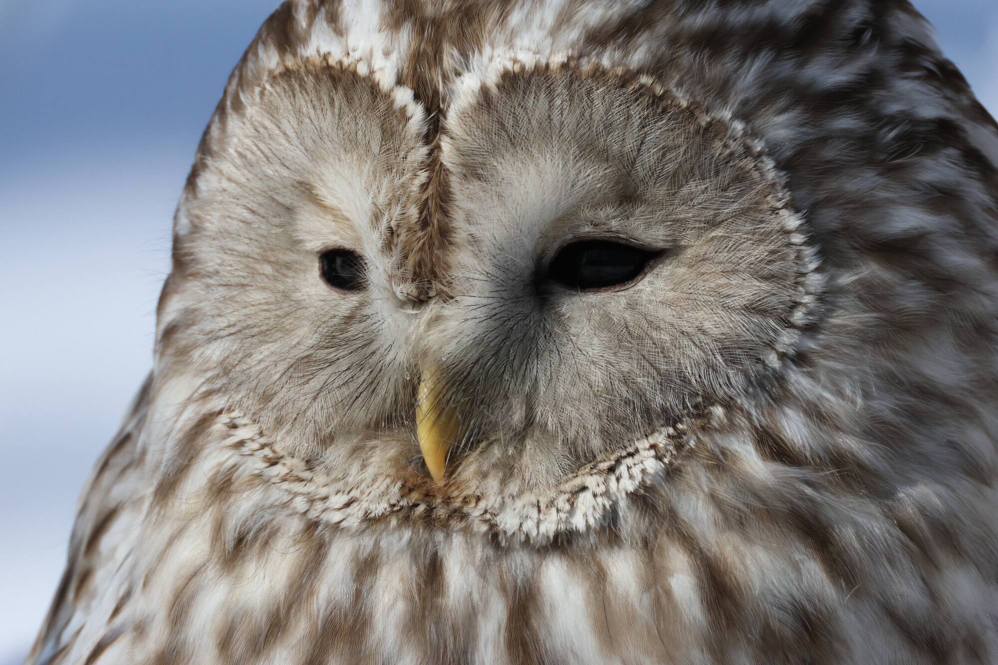 Back. Canon - Canon EOS R7 Mirrorless Camera with RF-S 18-150mm Lens Kit - Black.