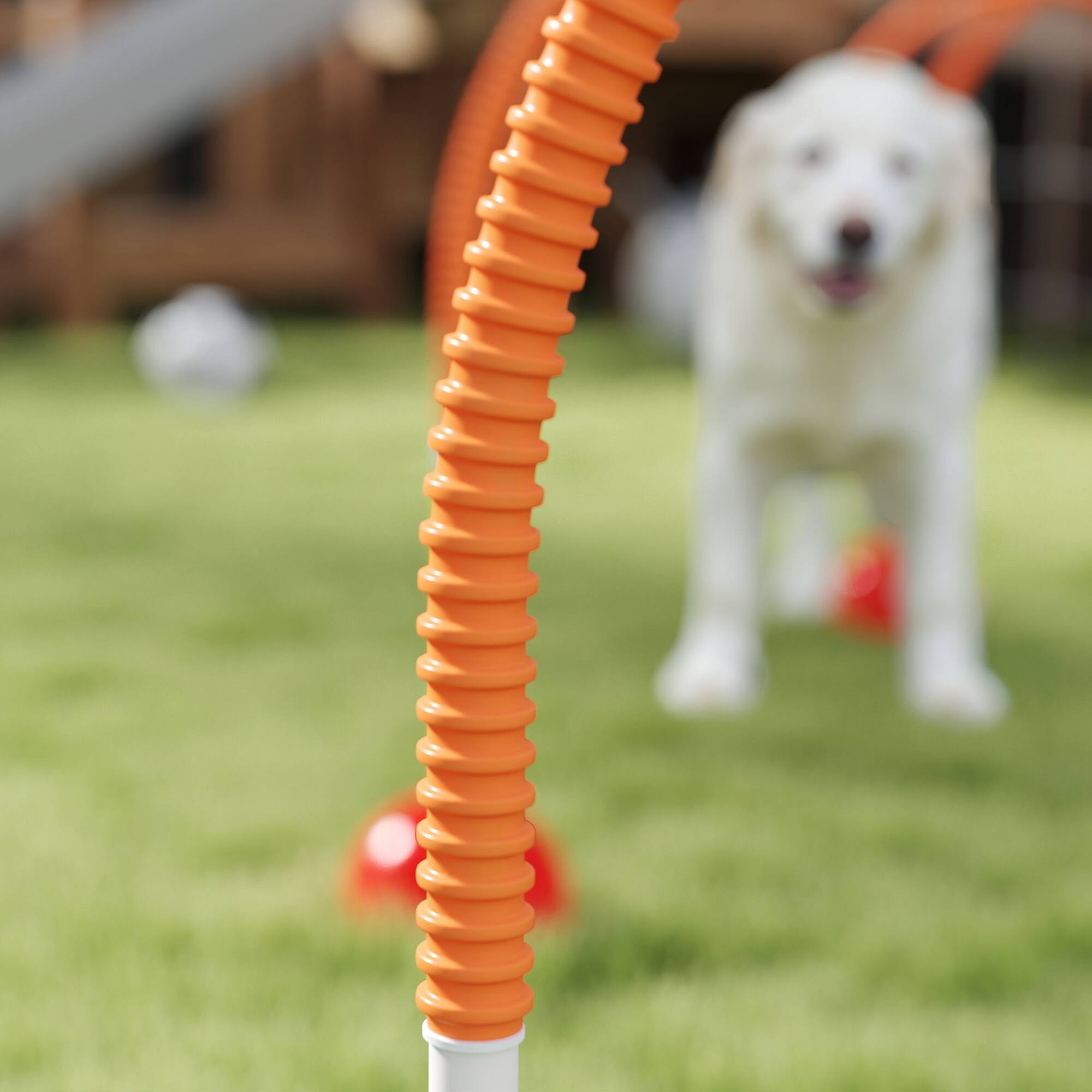 Alt View 4. Pawhut - 4 Piece Dog Agility Equipment, Backyard Set, 4 Adjustable Width Doors, Carry Bag, Easy Assemble, Portable - Orange.