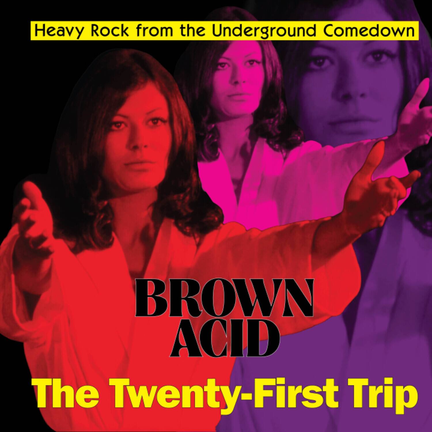 Various Artists - Brown Acid - The Twenty-first Trip (Various Artists)   - VINYL LP price history on PriceWatchPro