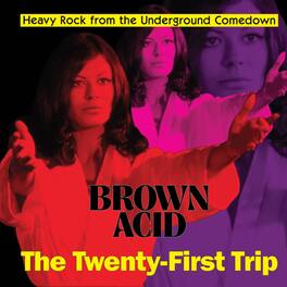 Various Artists - Brown Acid - The Twenty-first Trip (Various Artists) - VINYL LP