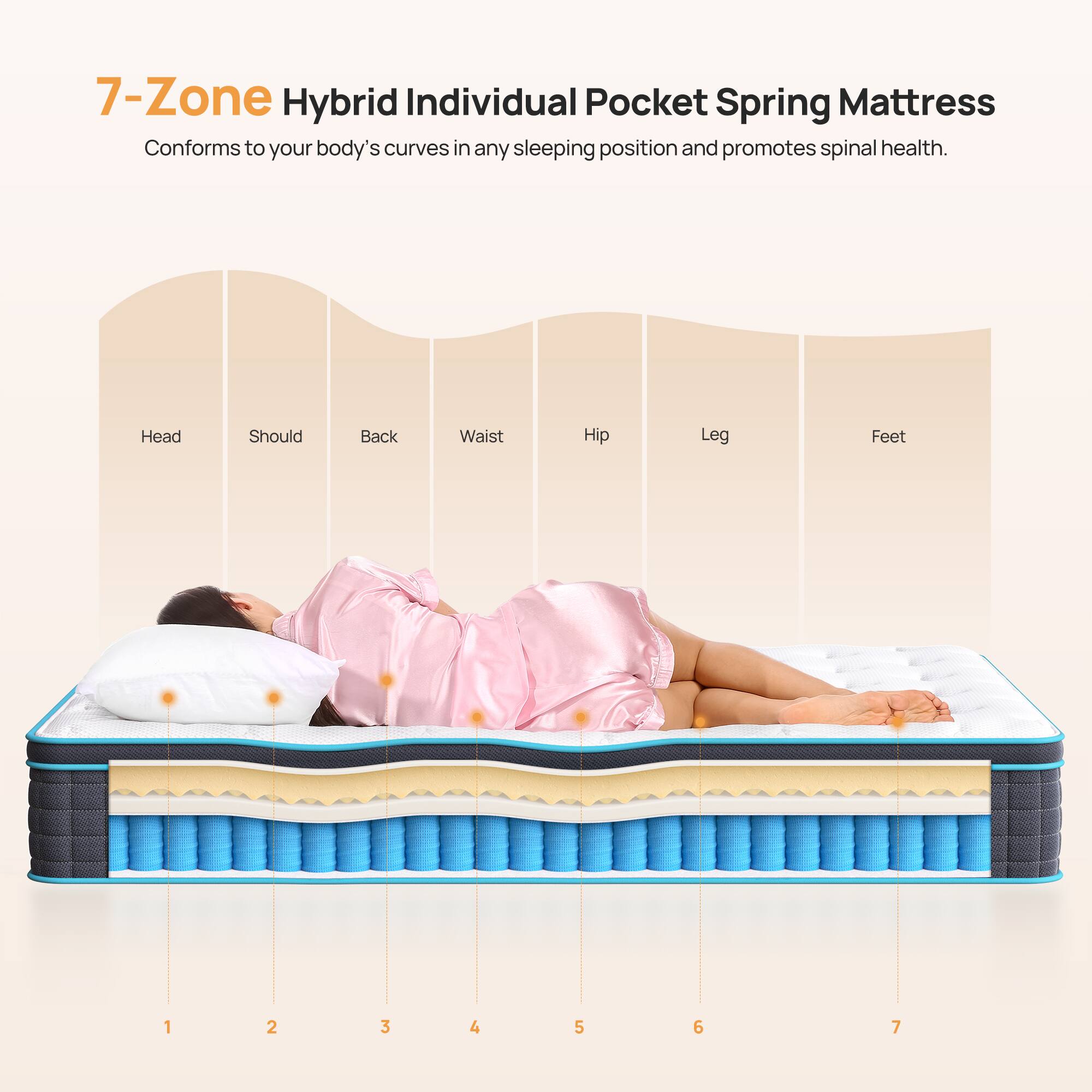 7-Zone Hybrid Individual Pocket Spring Mattress  
Conforms to your body's curves in any sleeping position and promotes spinal health.  

Head Should Back Waist Hip Leg Feet  
1 2 3 4 5 6 7
