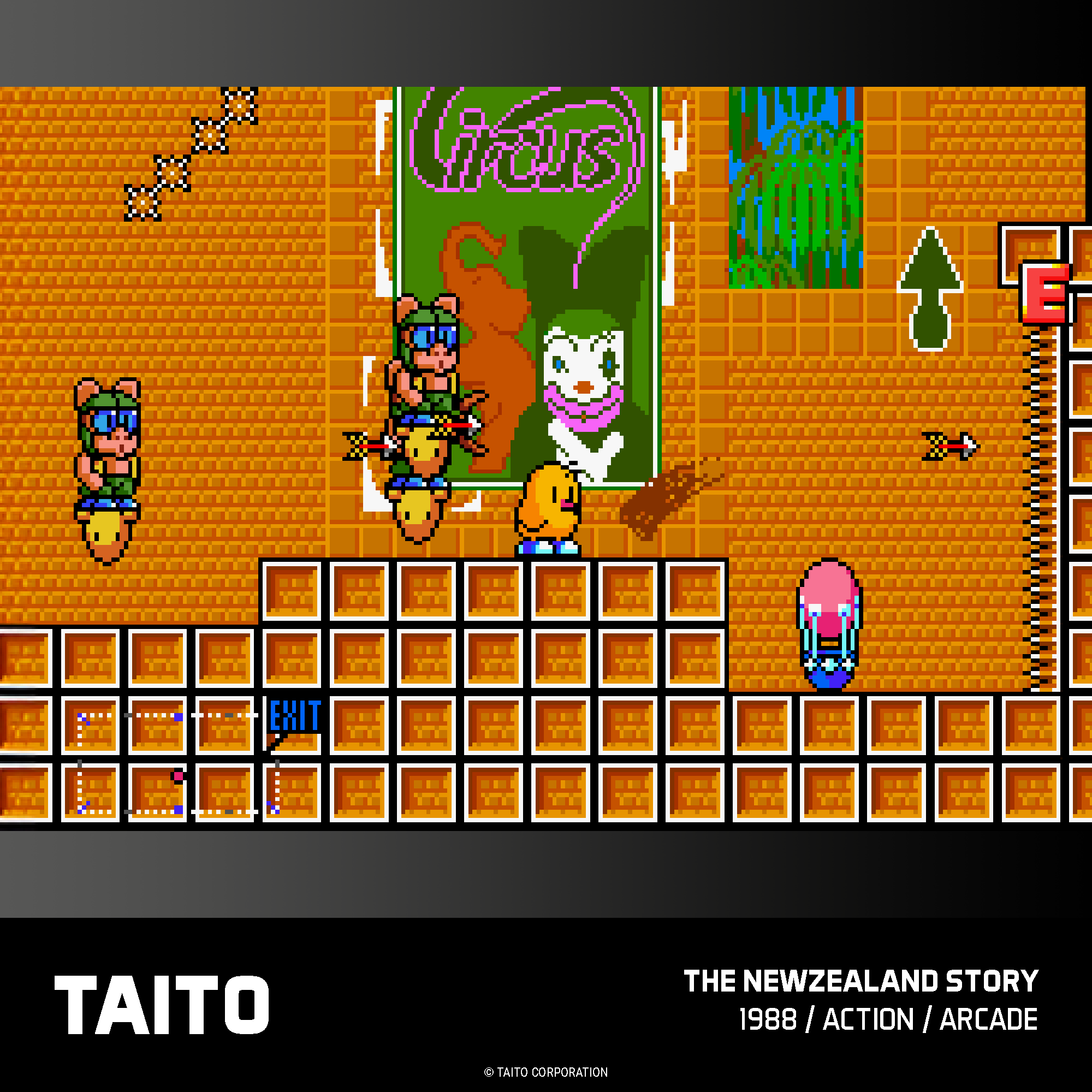 TAITO  
TAITO CORPORATION  
THE NEWZEALAND STORY 1988 / ACTION / ARCADE