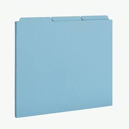 Pendaflex - Blank Index File Guide, Letter, 100/Box (PN203) - Blue