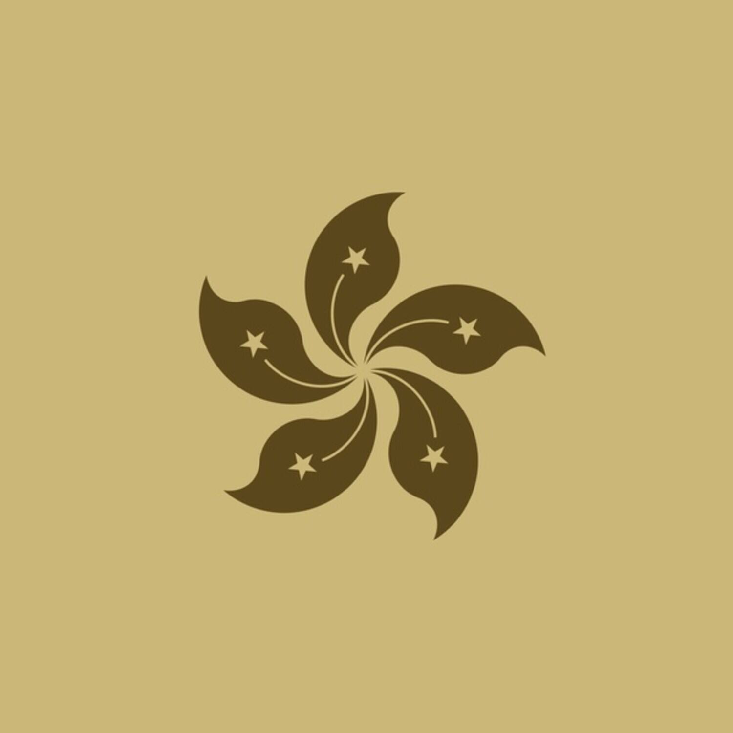 Front. Monolake - Hongkong   - VINYL LP.