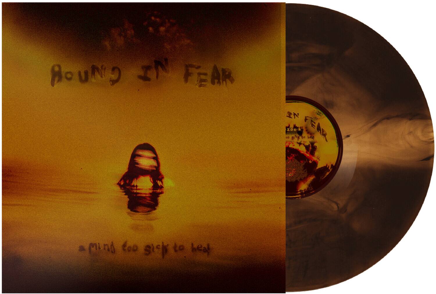 Bound in Fear - A Mind Too Sick To Heal   - VINYL LP price history on PriceWatchPro