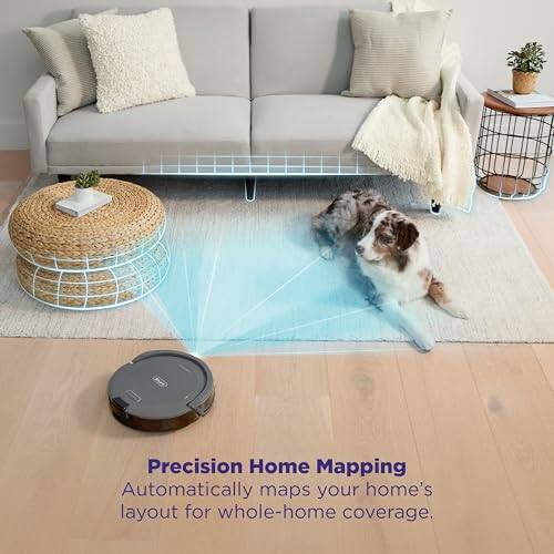 Precision Home Mapping  
Automatically maps your home's layout for whole-home coverage.