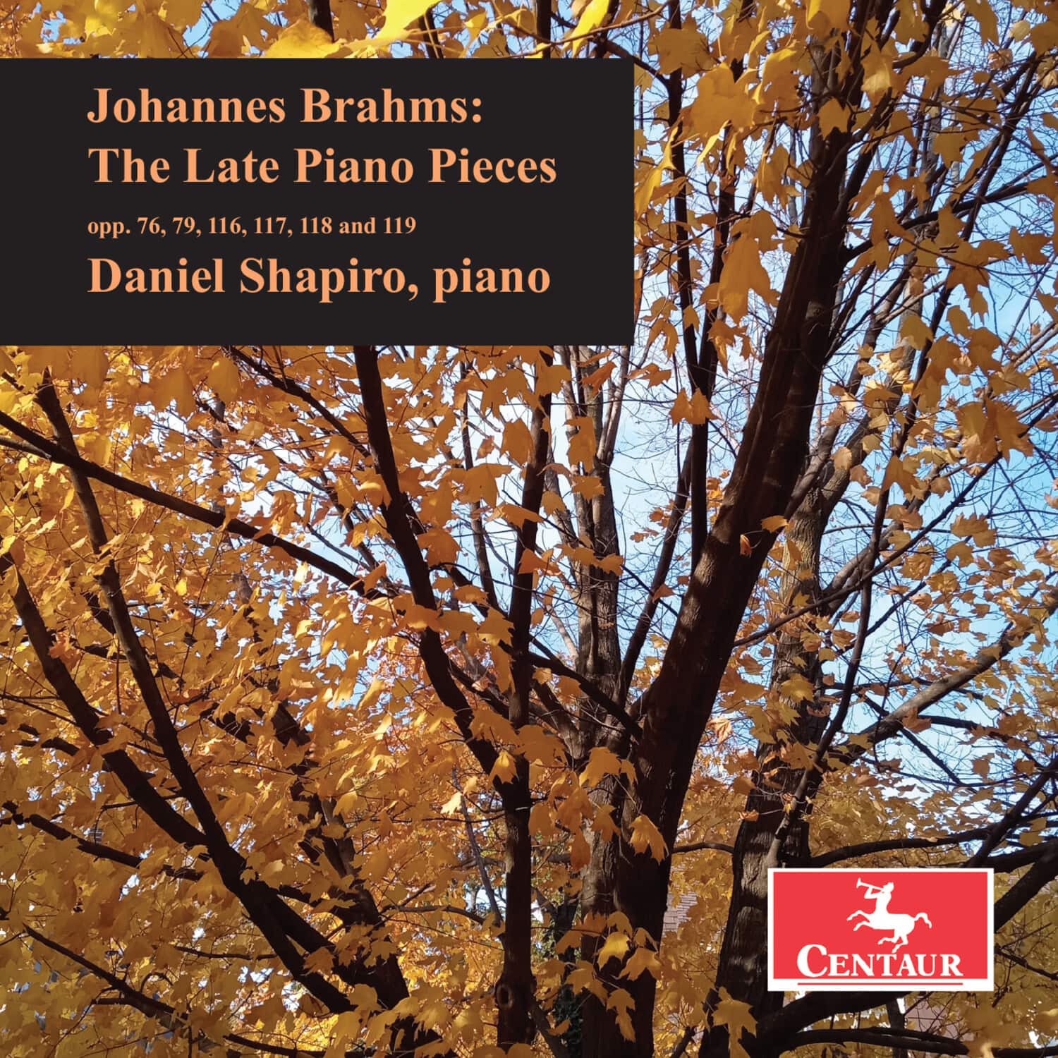 Daniel Shapiro - Brahms: The Late Piano Pieces   - COMPACT DISCS [CD] price history on PriceWatchPro